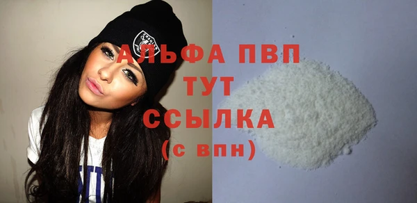 хмурый Дмитриев
