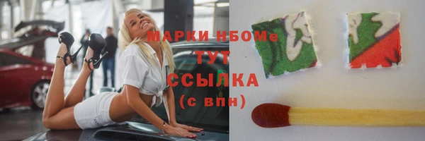 амф Новозыбков