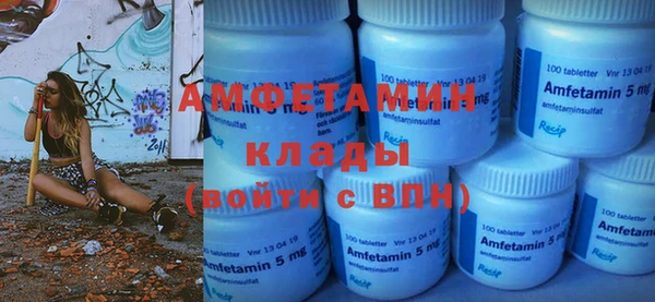 прущие грибы Хадыженск