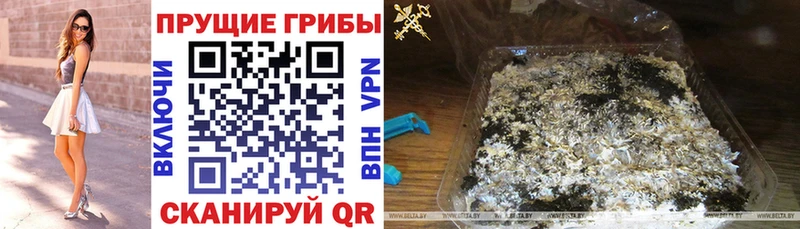 Псилоцибиновые грибы ЛСД Плёс